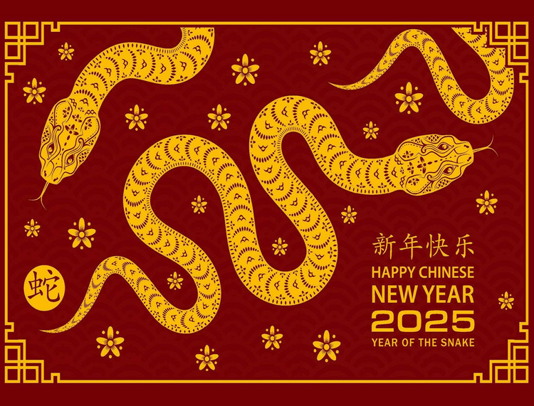 Chinese Year of the Snake